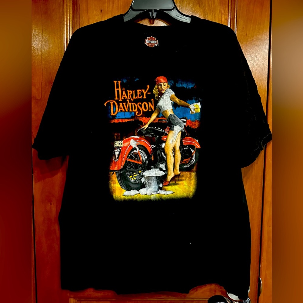 Harley Davidson XL Indianapolis Indiana, bike wash booty shorts red stilettos